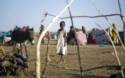 Human rights and humanitarian organizations are calling upon the United Nations to take immediate action to address the crisis unfolding in Sudan.
